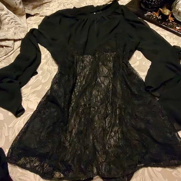 🐈⬛ Divine VS Vintage Victorian Inspired Black Sheer Crepe & Lace Blouse - L - Picture 5 of 15